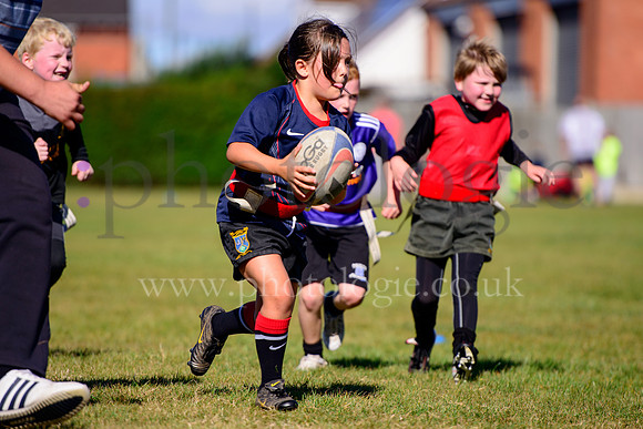 _DSC8931