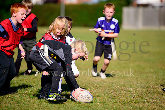 _DSC8518